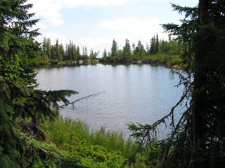 Jamské pleso 1 - Hugo