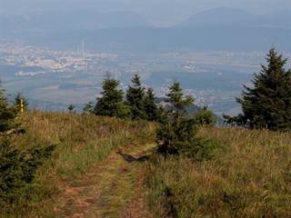 Minčol 7 - Daniela Tomášiková