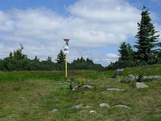 Volovec - Skalisko 3 - Paulina Melková