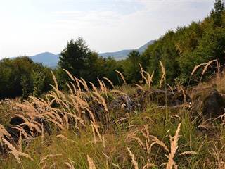 Veľký Milič 6 - Paulina Melková