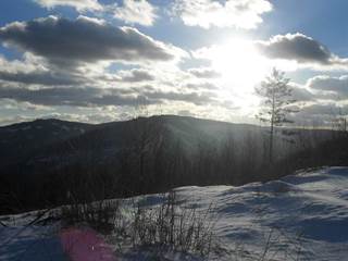 Pálenica 4 - Paulina Melková