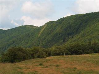 Riaba skala 2 - kawiusz