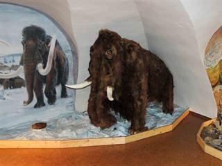 Kaštieľ v Radoli 4