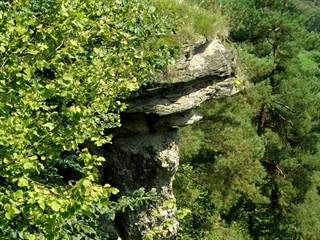 Markušovský skalný hríb 3 - Daniela Tomášiková