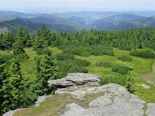 Volovec - Skalisko 5 - Paulina Melková