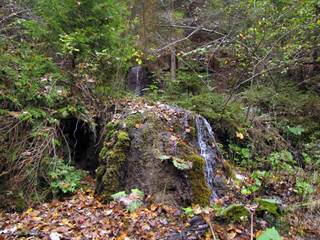 Teplické serpentíny 14 - Majtán Robo