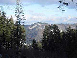 Pálenica 2 - Paulina Melková