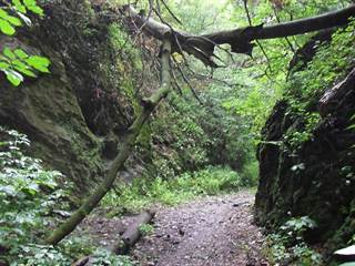 Hlbočianska dolina 2