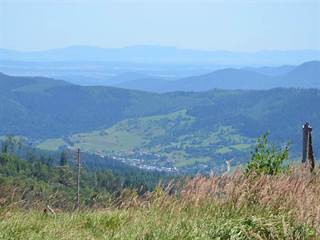 Hekerová 2 - Paulina Melková