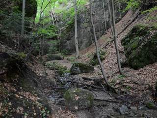 Lačnovský kaňon 7 - Paulina Melková