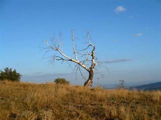 Vrch Javor 2 - Števo Krpeľan