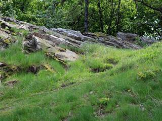 Tisové skaly 03 - Daniela Tomášiková