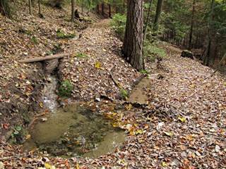 Teplické serpentíny 4 - Majtán Robo