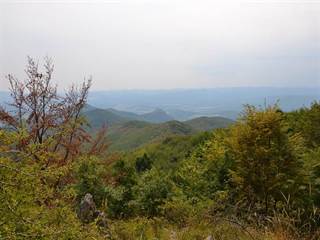 Veľký Milič 3 - Paulina Melková