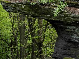 Benát 4 - Daniela Tomášiková