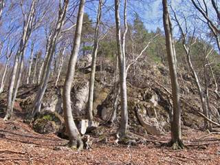 Biela skala 9 - Majtán Robo