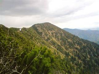 Suchý 1 - Vegetator