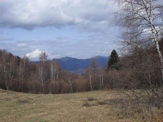 Osadník 4 - Paulina Melková