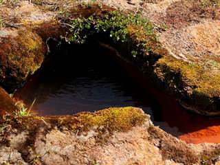 Mičinské travertíny 21 - Daniela Tomášiková