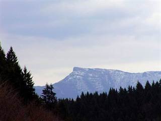 Kľak 13 - Martin Hlauka