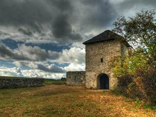 Zrúcanina kos. Haluz 8