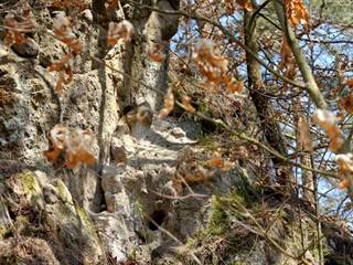 Zolniansky lahar 2 - Daniela Tomášiková