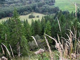 Bukovinka 10 - Majtán Robo