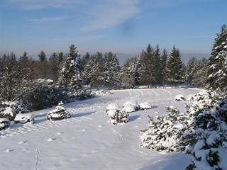 Arborétum Borová hora 8