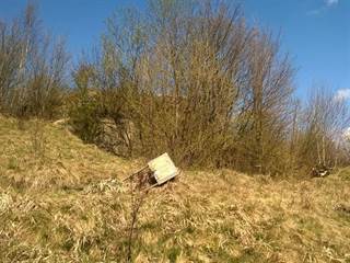 Hrabkovské zlepence 7 - Palino Peťovský