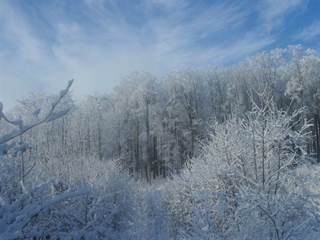 Šimonka 8 - Paulina Melková