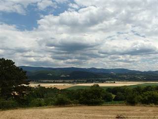 Haluzický kostolík 5 - Miroslava Fraňová