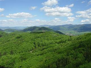 Stratený budzogáň 5