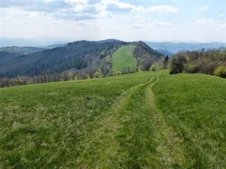 Biely vrch 4 - Marcel Pribiš