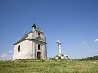 Sivá Brada 9 - www.shutterstock.com