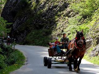Manínska tiesňava 5 - Daniela Tomášiková