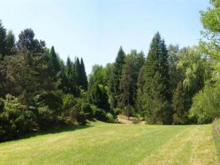 Arborétum Borová hora 7