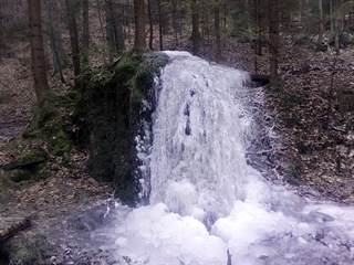 Teplické serpentíny 20 - pigmej