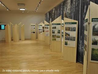 Lesnícke múzeum 5 - Ing. Marek Vanga