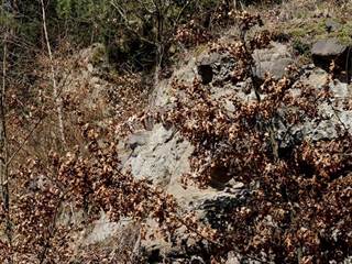 Zolniansky lahar 11 - Daniela Tomášiková