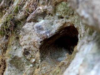 Zolniansky lahar 8 - Daniela Tomášiková