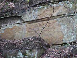 Parkaň 12 - Daniela Tomášiková