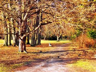 Kaštieľ Turčianska Štiavnička 3
