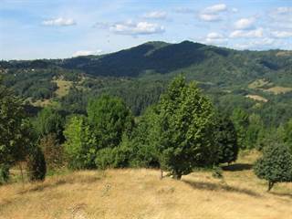 Trnovník 4 - Majtán Robo