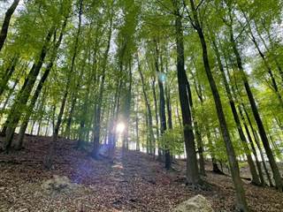 Kučišdorfská dolina