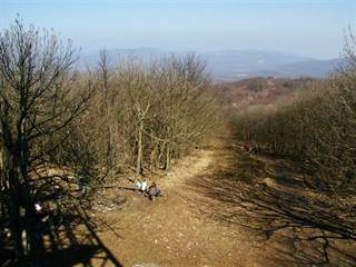 Rozhľadňa Veľká Homoľa 2 - Juraj Bondora