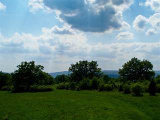 Panónsky háj Gavurky 4 - Juraj Paller