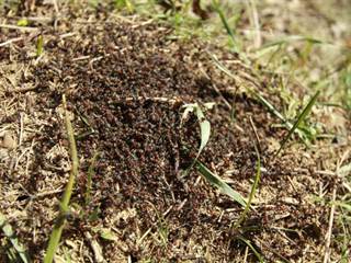  mala pec 2 - vypadni.sk