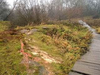 Mičinské travertíny 11 - Palino Peťovský