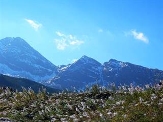 Svinické sedlo 2 ToSter