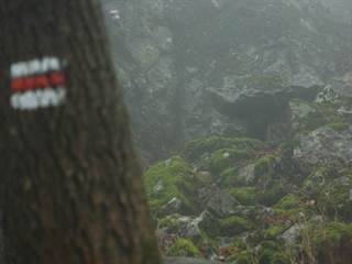 Havrania skala 5 - vypadni.sk